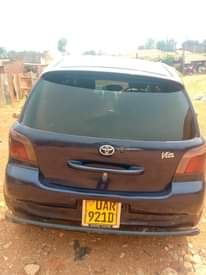 A picture of Vitz