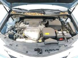 A picture of Toyota Camry