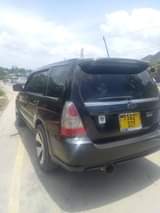 A picture of Subaru Foresta