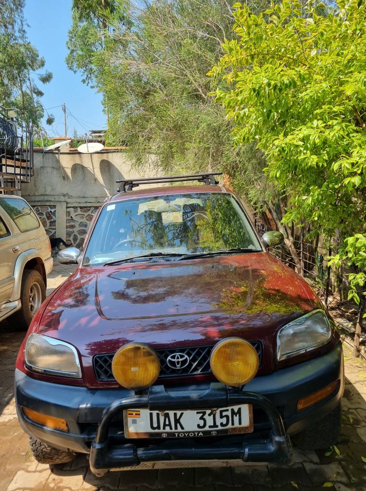 A picture of RAV4