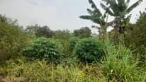 A picture of Buy land at 7m per acre