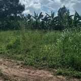 A picture of Plots on sale in matugga ssaga
