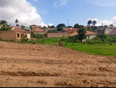 A picture of Bland new plots in matuga ssanga rentals home business 50