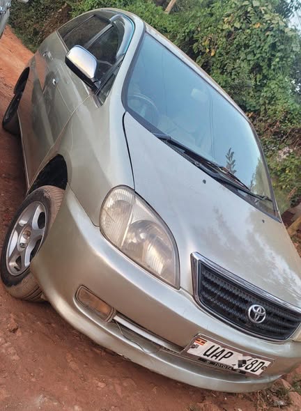 toyota nadia