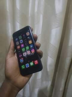 A picture of iPhone 7plain