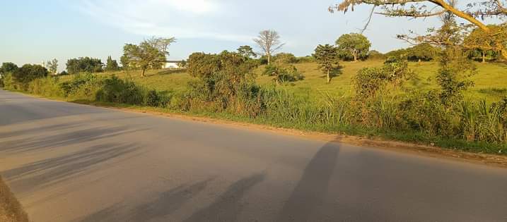 houses matugga
