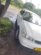 A picture of Monduli