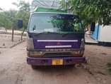 A picture of Nauza canter