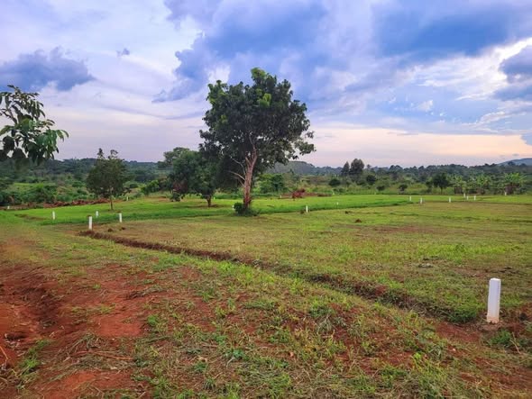 A picture of PLOTS AT GAYAZA 16M Vumba