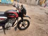 A picture of Boxer x 125