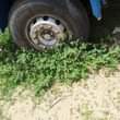 A picture of Scania 113