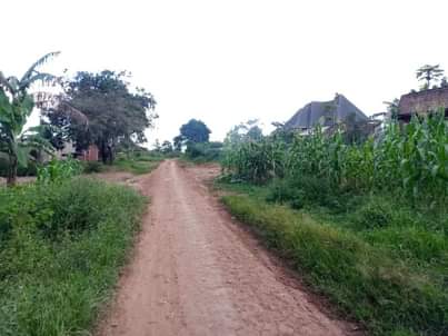 A picture of PLOT 50 100FT FOR SALE 