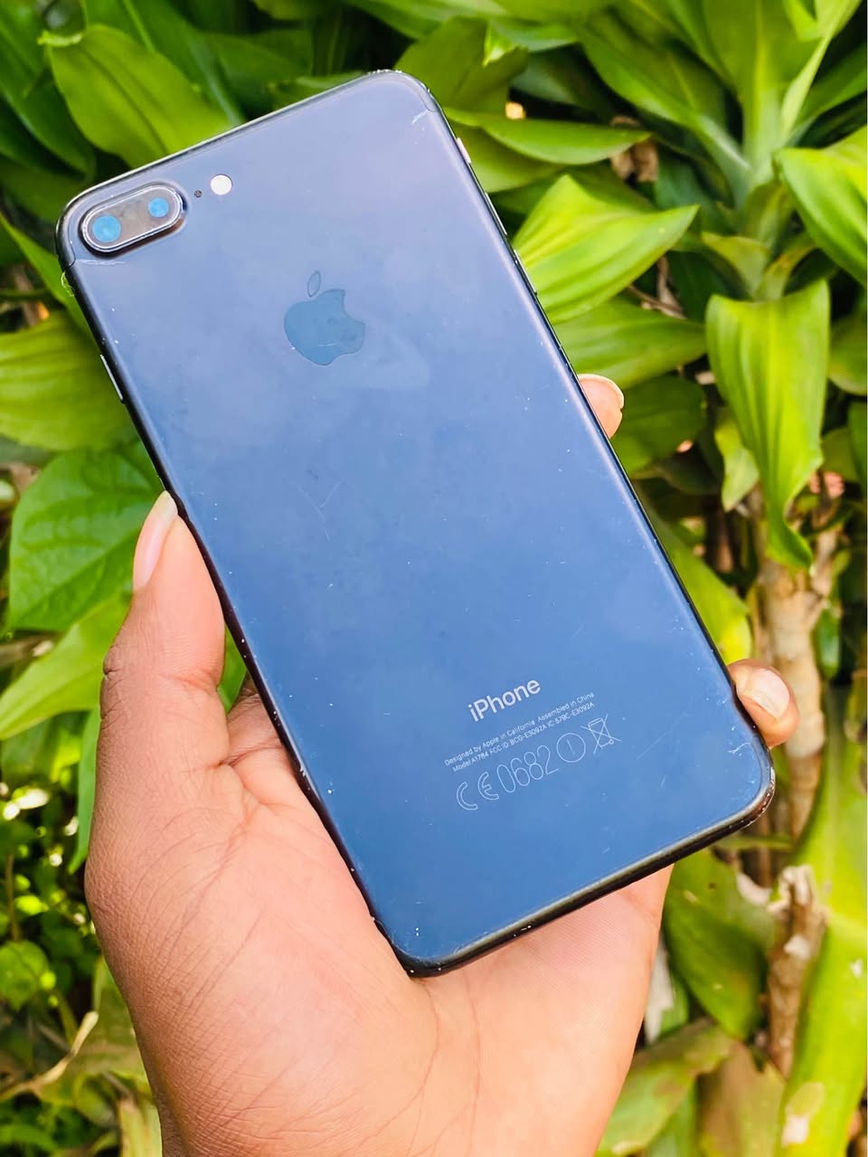A picture of iPhone 7plus