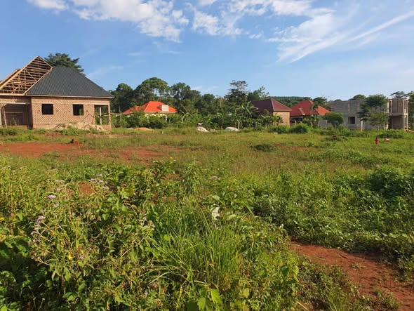 A picture of PLOTS FOR SALE IN MUKONO KATOSI ROAD