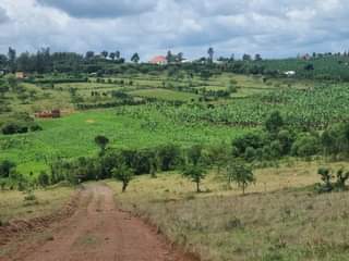 A picture of MIGHTY RUKUUBA PHASE 3 AT 7 5Million 0702112634