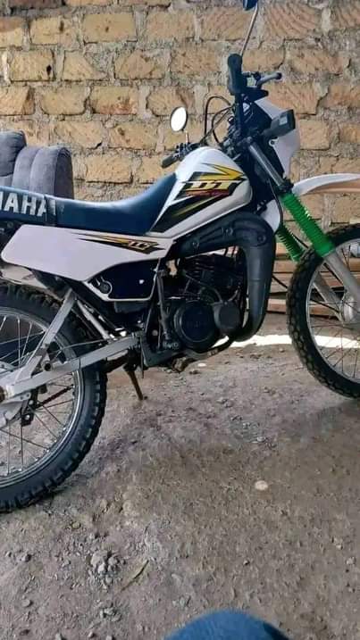 A picture of motor bikes