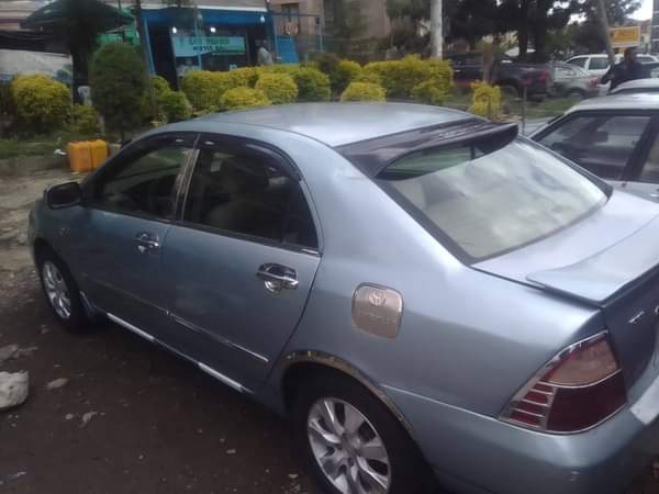 used toyota corolla