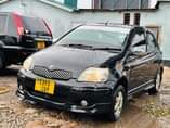 A picture of Vitz