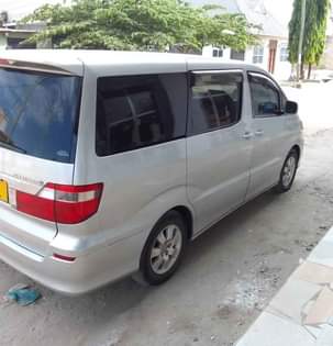 A picture of Alphard bumper dogo