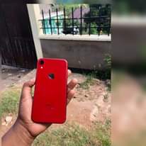 A picture of iPhone Xr