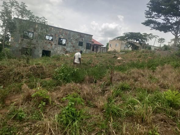 farms for sale