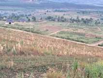 A picture of Plots and Newly built Houses for sell