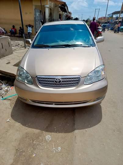 A picture of Direct bugumi standard First body Original duty Perfectly Location Bauchi