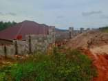 A picture of HOT DEAL 50BY100 WITH READY LAND TITLE AT 20M MENDE