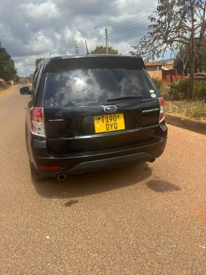 A picture of Nauza hii gari