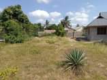 A picture of Eneo linauzwa lipo dar es salaam wilaya ilala kata kitunda