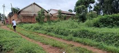 A picture of 50 decimals of land for sale in Kawempe Tula opposite
