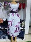 A picture of gauni tu