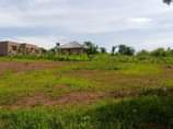 A picture of A WELL PLANNED ESTATE 256708590699 New estate located in Gombe