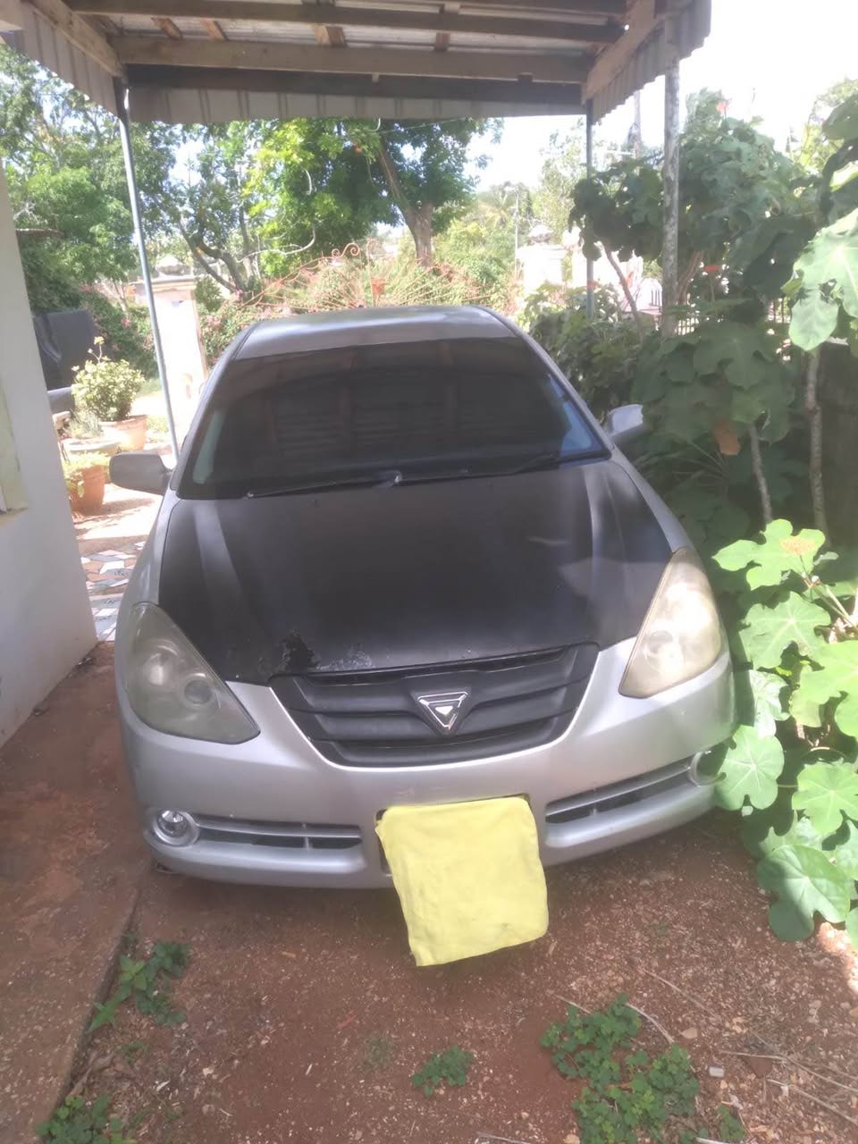 2007 cars