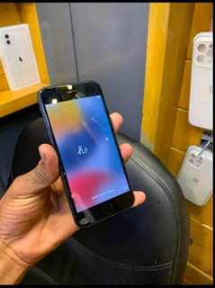A picture of Iphone 7plain
