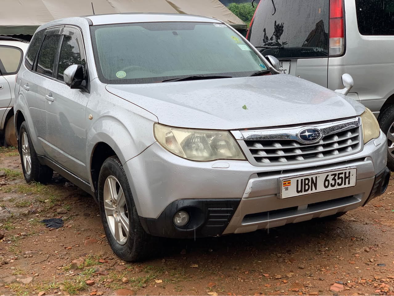 A picture of Forester 27M