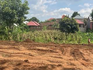 A picture of Plots at 25m in Kiyunga Mukono