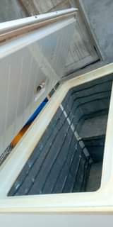 A picture of Friza