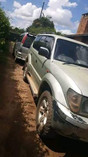 used toyota prado