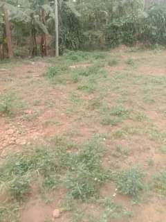 A picture of Kiwanja kinauzwa