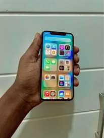 A picture of iPhone X face