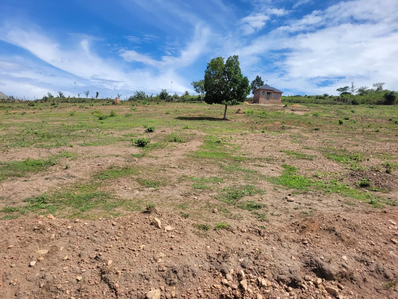 A picture of TITLED PLOT AT WAKISO GOBERO