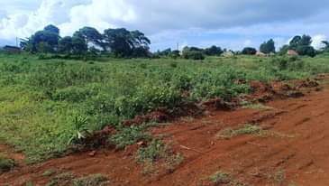 A picture of AFFORDABLE PLOTS FOR SALE IN NAMAYUMBA