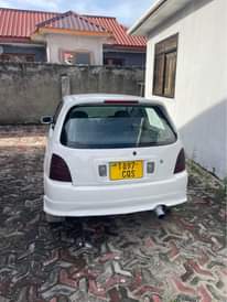 A picture of starlet glanza