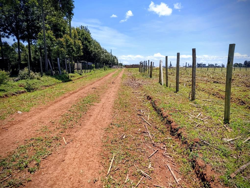 kenya plots