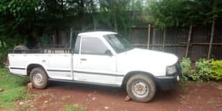 Lavin B.