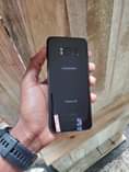 A picture of Samsung galaxy s8