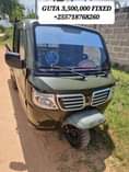 A picture of GUTA KINGLIOM