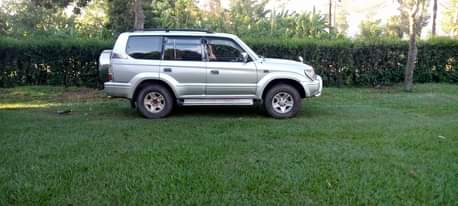 A picture of Toyota Prado