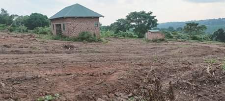 A picture of PLOTS FOR SALE LOCATED WAKISO NAMAYUMBA